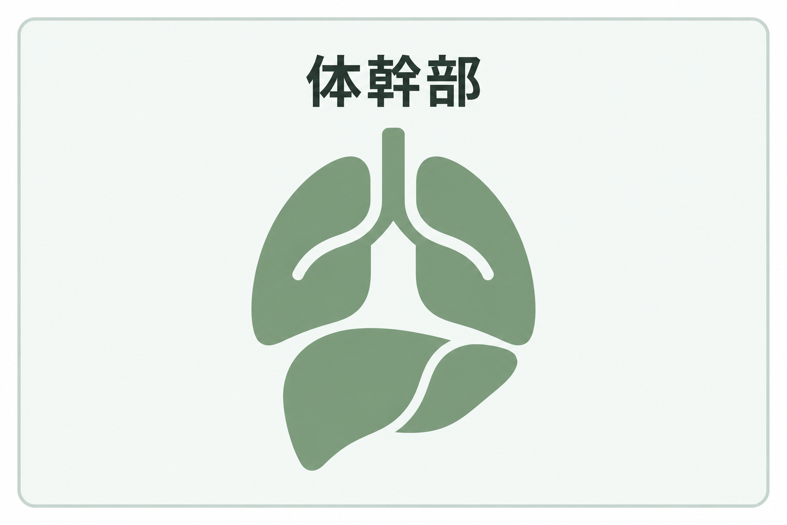 体幹部