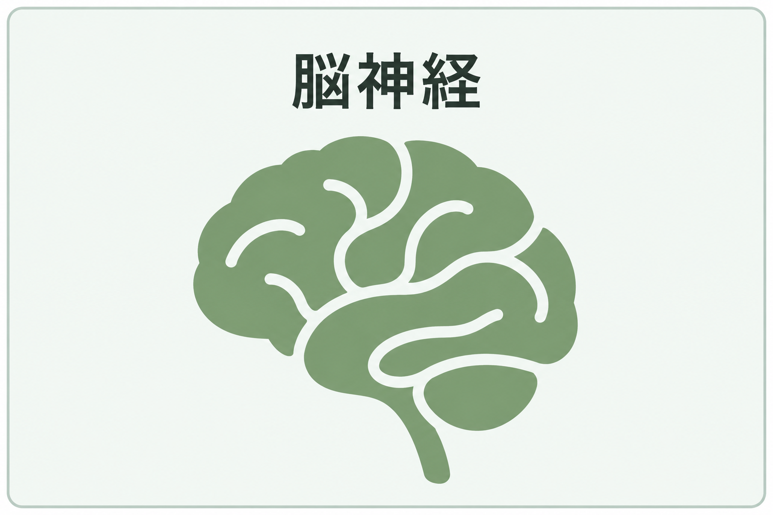 脳神経